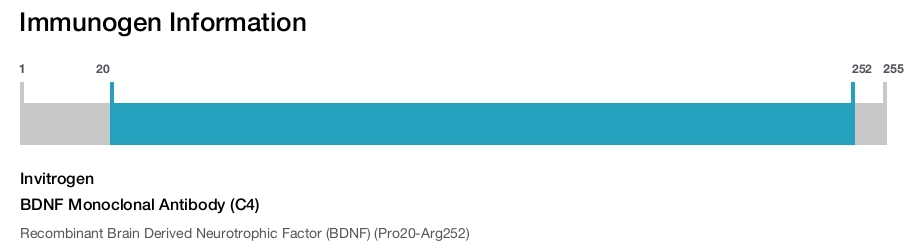 BDNF Monoclonal Antibody (C4)