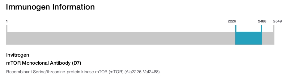 mTOR Monoclonal Antibody (D7)