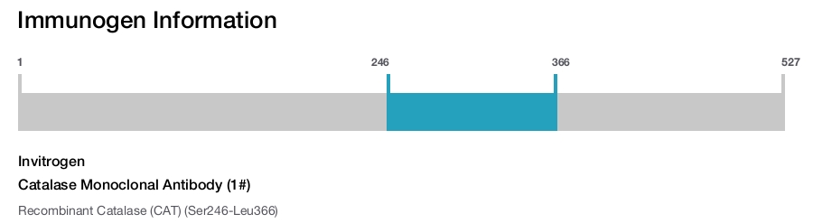 Catalase Monoclonal Antibody (1#)