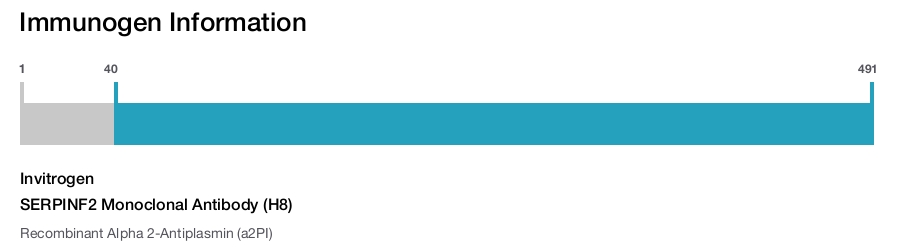 SERPINF2 Monoclonal Antibody (H8)