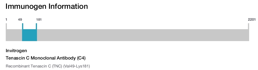 Tenascin C Monoclonal Antibody (C4)