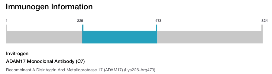 ADAM17 Monoclonal Antibody (C7)