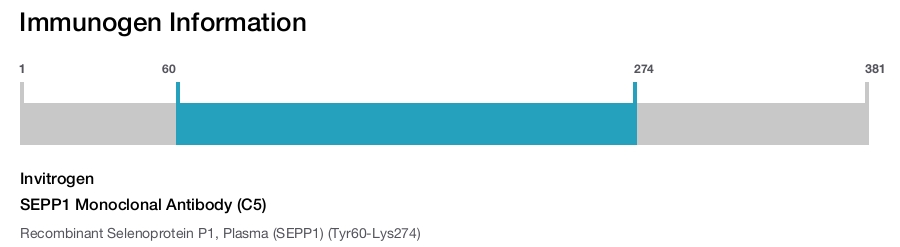 SEPP1 Monoclonal Antibody (C5)