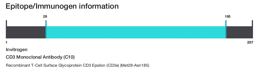 CD3 Monoclonal Antibody (C10)