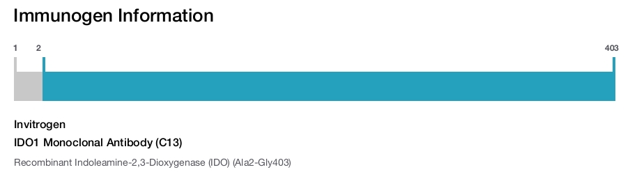 IDO1 Monoclonal Antibody (C13)