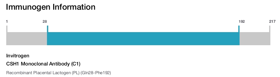 CSH1 Monoclonal Antibody (C1)