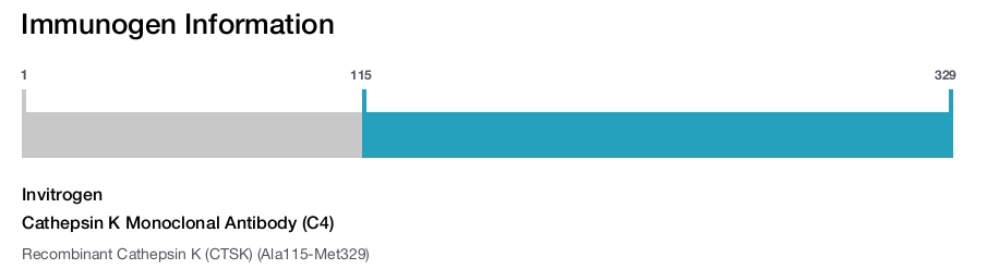 Cathepsin K Monoclonal Antibody (C4)