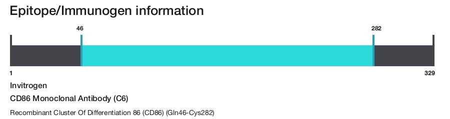 CD86 Monoclonal Antibody (C6)