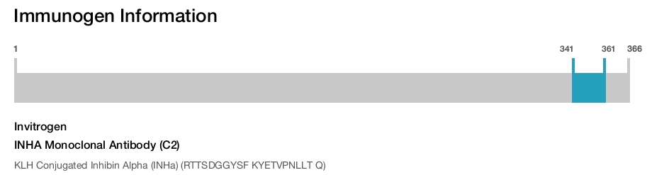 INHA Monoclonal Antibody (C2)