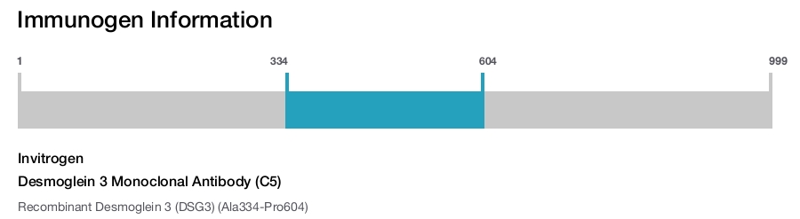 Desmoglein 3 Monoclonal Antibody (C5)