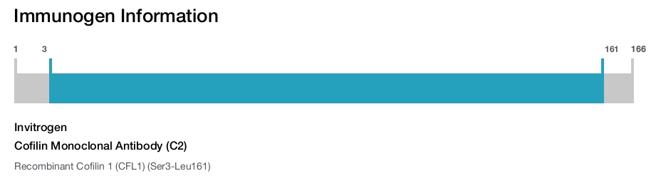 Cofilin Monoclonal Antibody (C2)