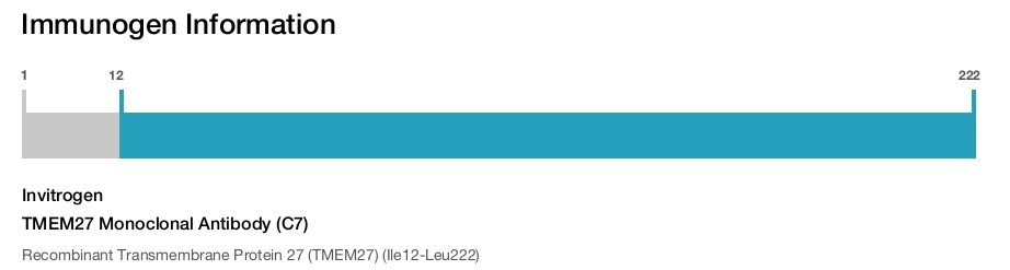TMEM27 Monoclonal Antibody (C7)
