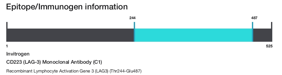CD223 (LAG-3) Monoclonal Antibody (C1)