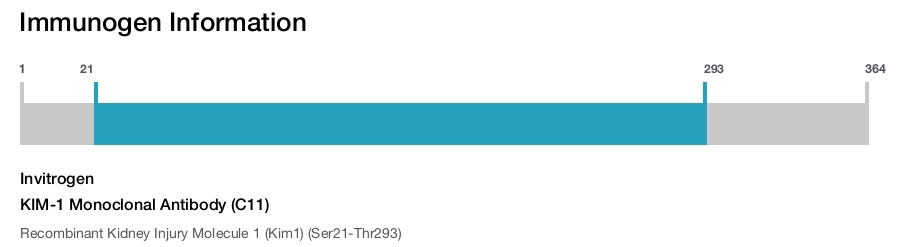 KIM-1 Monoclonal Antibody (C11)