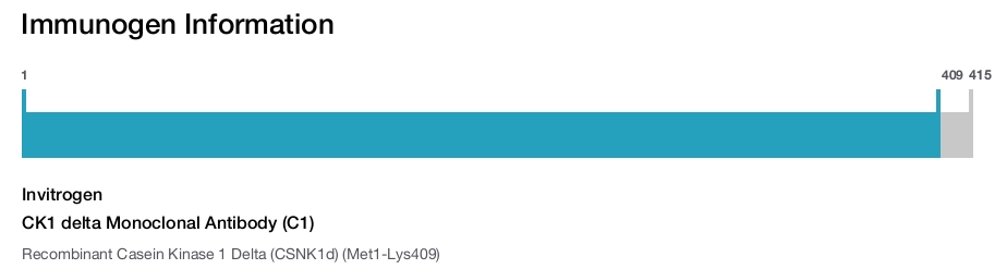 CK1 delta Monoclonal Antibody (C1)