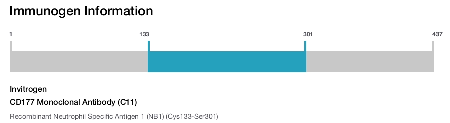 CD177 Monoclonal Antibody (C11)