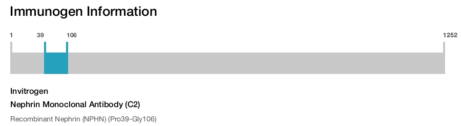 Nephrin Monoclonal Antibody (C2)