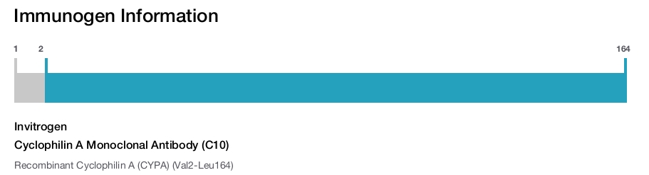 Cyclophilin A Monoclonal Antibody (C10)