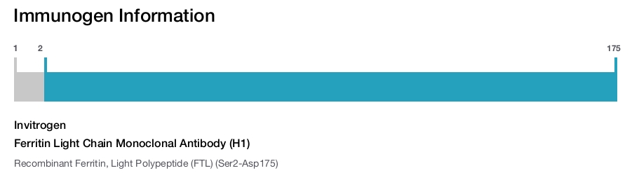 Ferritin Light Chain Monoclonal Antibody (H1)