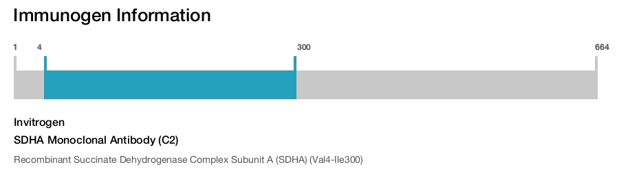 SDHA Monoclonal Antibody (C2)