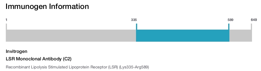 LSR Monoclonal Antibody (C2)