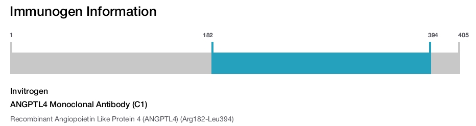 ANGPTL4 Monoclonal Antibody (C1)