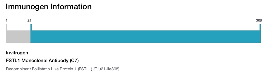 FSTL1 Monoclonal Antibody (C7)