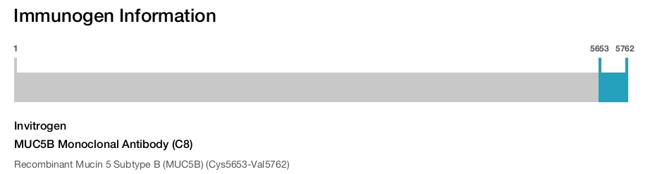 MUC5B Monoclonal Antibody (C8)