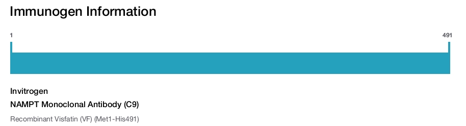 NAMPT Monoclonal Antibody (C9)