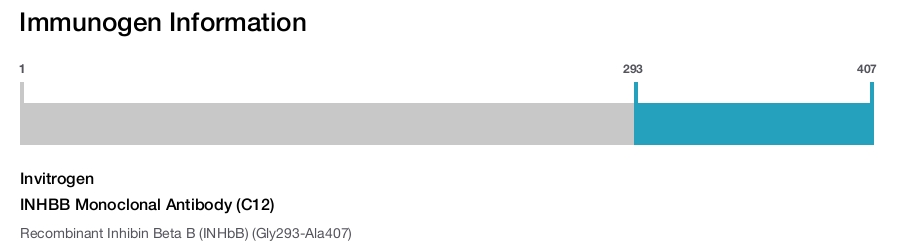 INHBB Monoclonal Antibody (C12)