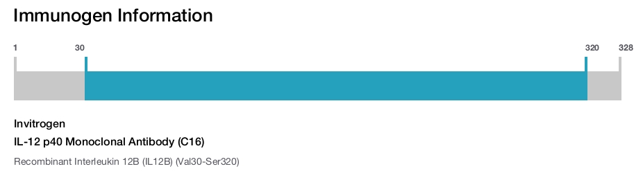 IL-12 p40 Monoclonal Antibody (C16)