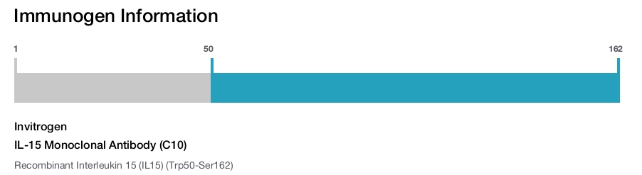 IL-15 Monoclonal Antibody (C10)