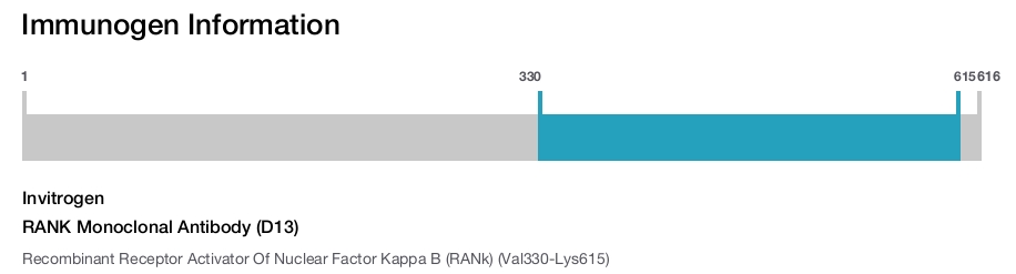 RANK Monoclonal Antibody (D13)