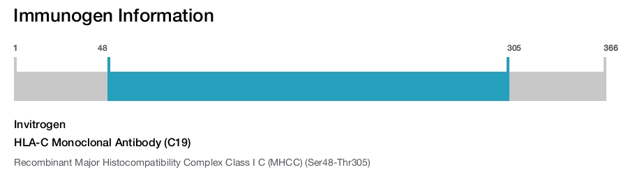 HLA-C Monoclonal Antibody (C19)