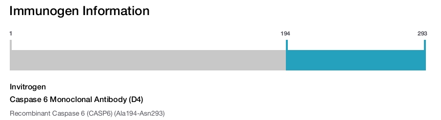 Caspase 6 Monoclonal Antibody (D4)