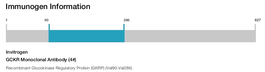 GCKR Monoclonal Antibody (4#)