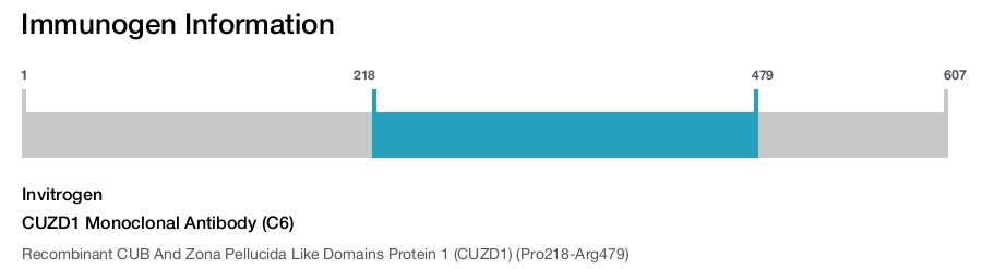 CUZD1 Monoclonal Antibody (C6)