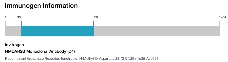 NMDAR2B Monoclonal Antibody (C4)