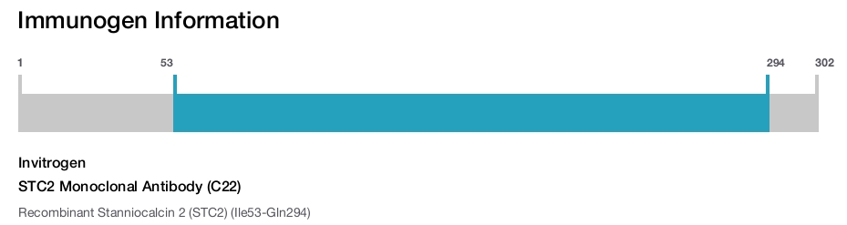 STC2 Monoclonal Antibody (C22)