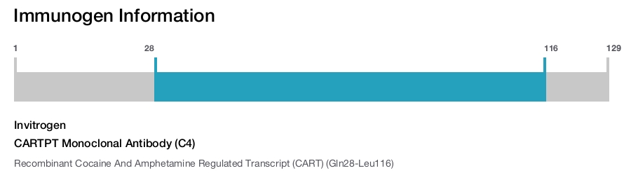 CARTPT Monoclonal Antibody (C4)
