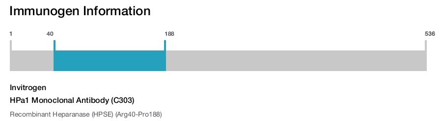 HPa1 Monoclonal Antibody (C303)