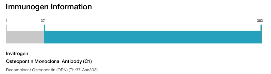 Osteopontin Monoclonal Antibody (C1)