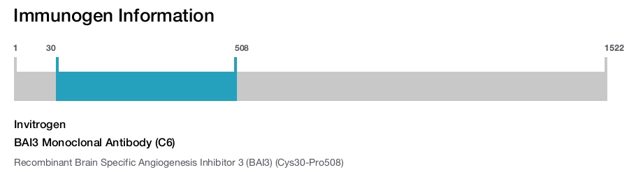 BAI3 Monoclonal Antibody (C6)