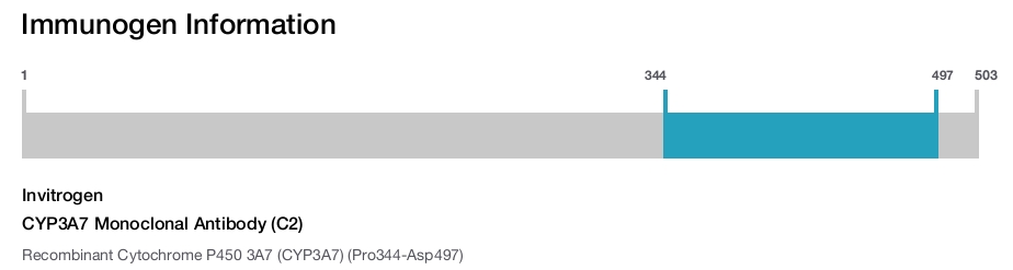 CYP3A7 Monoclonal Antibody (C2)