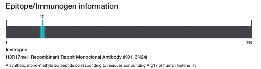 H3R17me1 Recombinant Rabbit Monoclonal Antibody (K01_3N24)