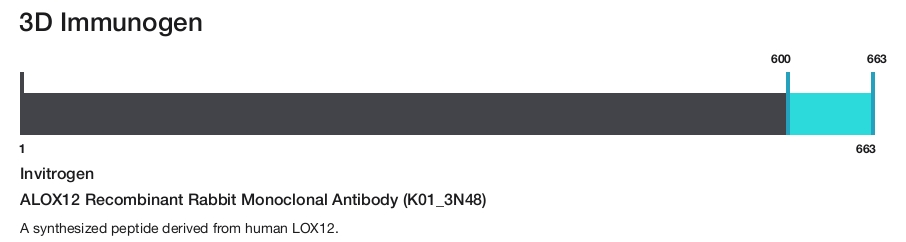 ALOX12 Recombinant Rabbit Monoclonal Antibody (K01_3N48)