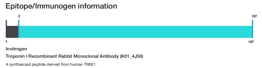 Troponin I Recombinant Rabbit Monoclonal Antibody (K01_4J58)