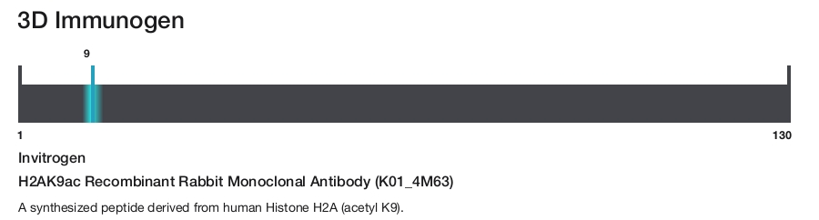 H2AK9ac Recombinant Rabbit Monoclonal Antibody (K01_4M63)