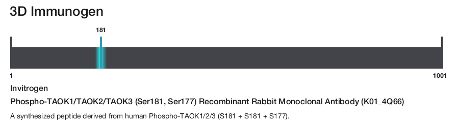 Phospho-TAOK1/TAOK2/TAOK3 (Ser181, Ser177) Recombinant Rabbit Monoclonal Antibody (K01_4Q66)