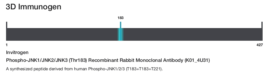 Phospho-JNK1/JNK2/JNK3 (Thr183) Recombinant Rabbit Monoclonal Antibody (K01_4U31)